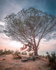 Wisdom Tree LA County California hiking andrew_kai