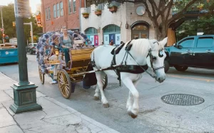 Things to do in San Antonio Texas horse carriage