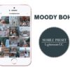 Moody Boho: 4 Lightroom Mobile Presets - Image 2