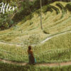 FREE Lightroom Mobile Preset: Classic Vintage - Image 5