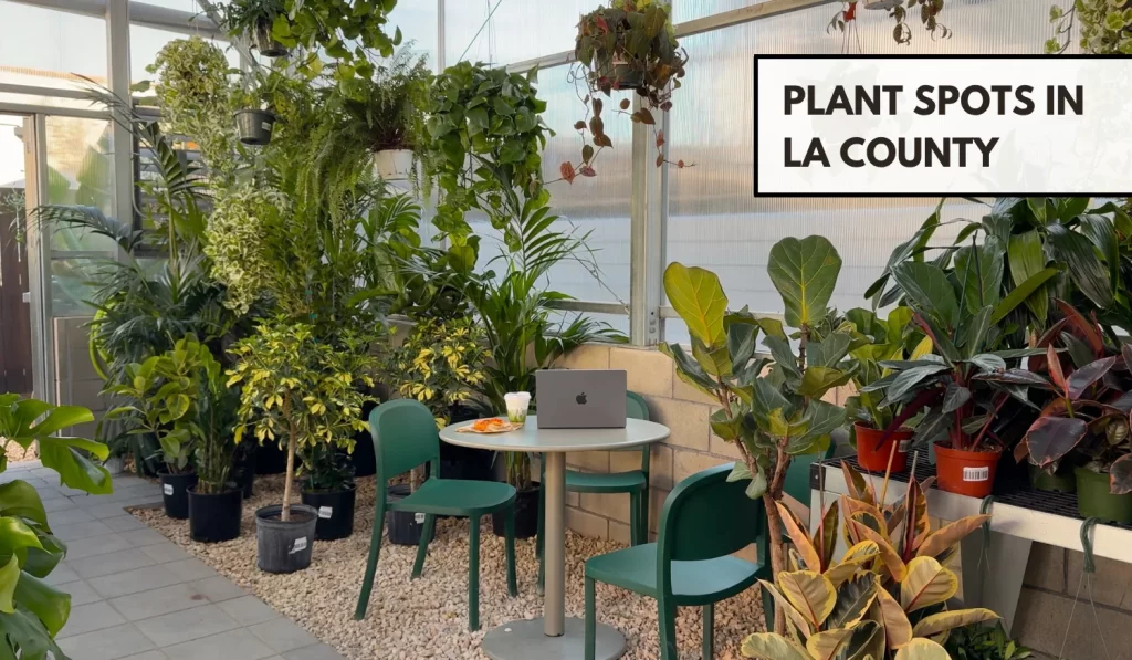 Plant Things to do in LA County