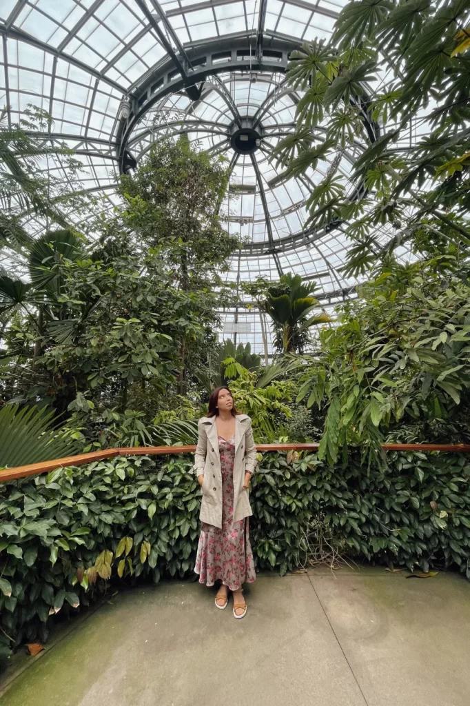 The Huntington Library, Art Museum, and Botanical Gardens