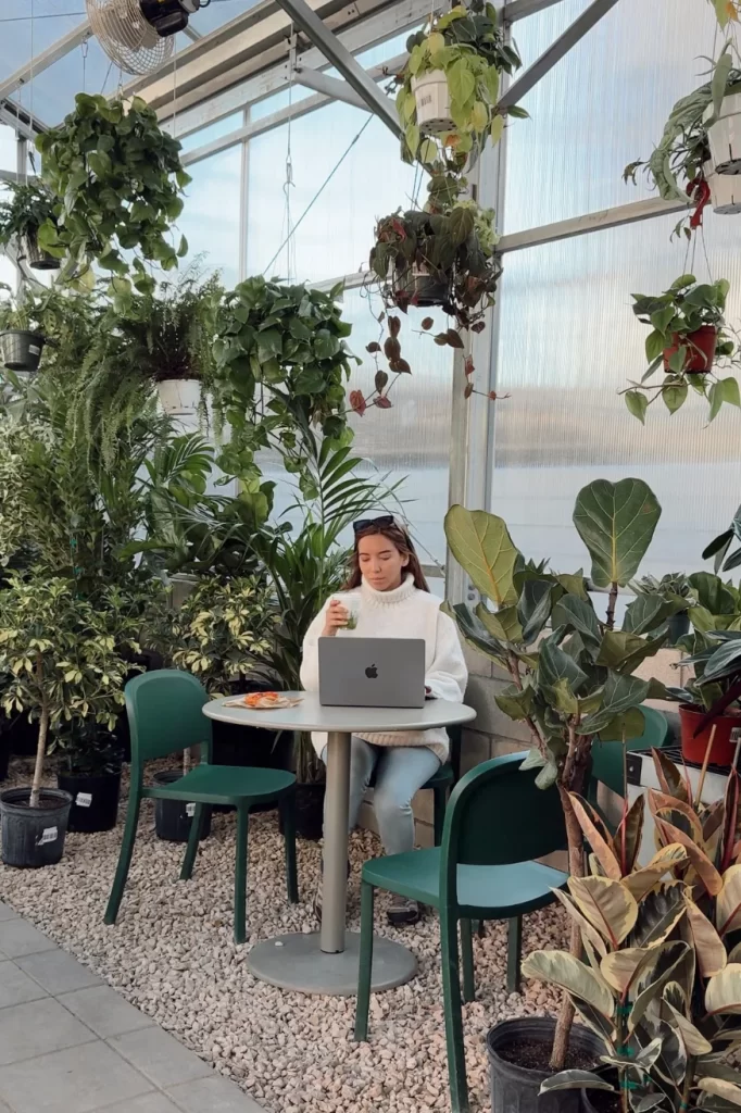 creatures plants and coffee los angeles plant eagle rock