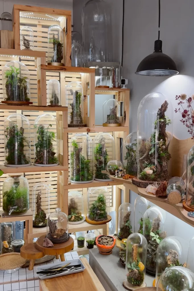 jungle box terrarium making workshop in la