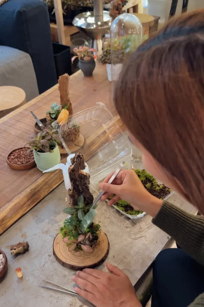 jungle box terrarium making workshop in los angeles