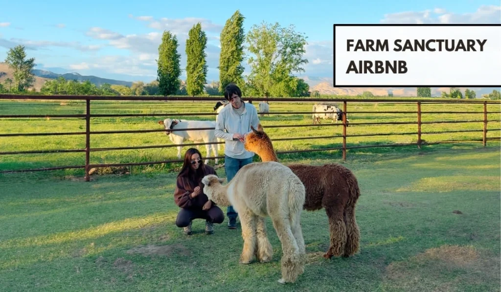 Farm Sanctuary Airbnb in California Exeter - 3 hours from los angeles