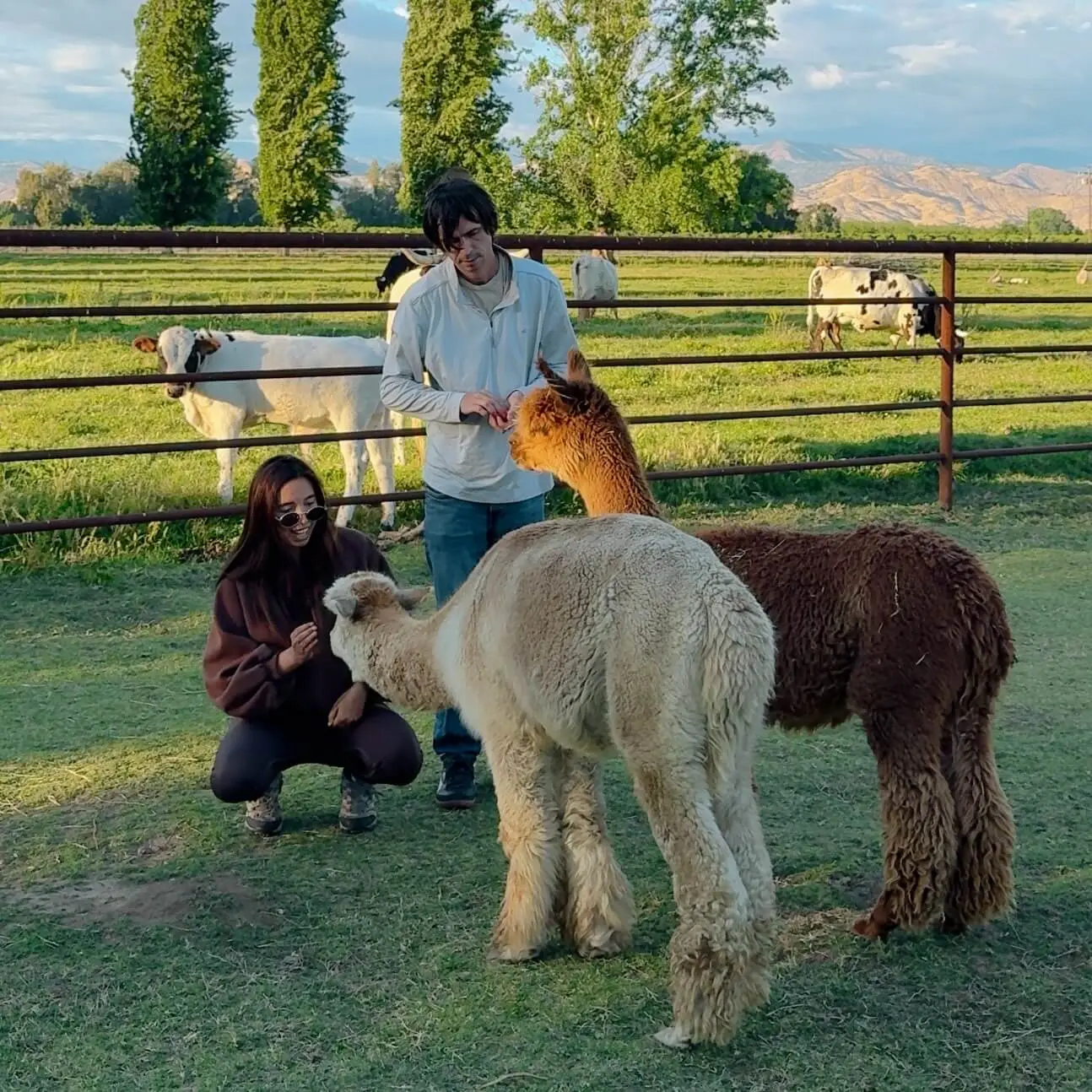 Sanctuary Farm Airbnb in California — 3 Hrs from LA
